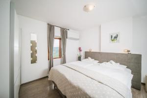 Villa Borgo B&B 