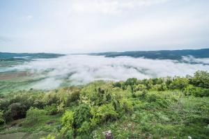 Villa Borgo B&B 