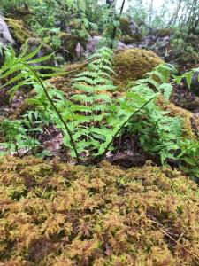 Lovely house on beautiful private lakeside estate!