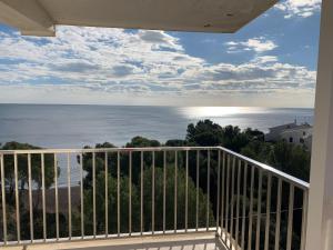 MIMOSAS VISTAS
