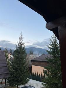 Ollies Mountain Chalet