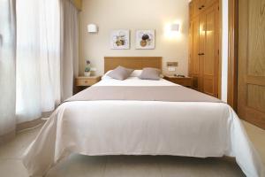Single Room with Terrace room in Hotel Albatros