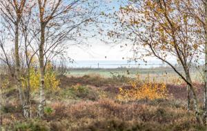 Lovely Home In Rømø With Wifi