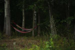 Rent a tent - Namiot w Praekologicznym gospodarstwie