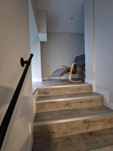 Malasaña Dreams S,L