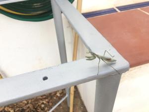 Cortijo andaluz en Sierra Morena - Naturaleza