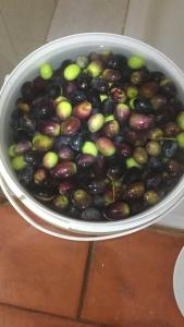 Cortijo andaluz en Sierra Morena - Naturaleza