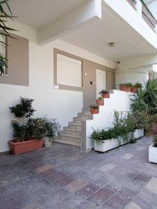 Katias downtown apartment