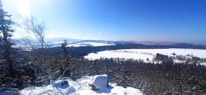 Domki KOLONIA LEŚNA z sauną i gorącą balią
