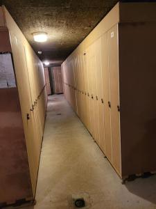 Appartements LE CHALET , Joli Duplex 3 etoiles au coeur de la Station des Rousses, 5 pers Draps inclus : photos des chambres