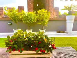 CA DEL SOLE - Attico Panoramico in Centro Storico