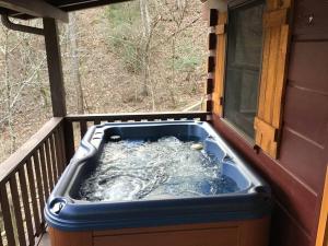 Dollywood! Dancing Bear 3-Bear Tracks-Newly Renovated