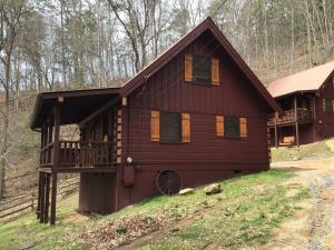Dollywood! Dancing Bear 3-Bear Tracks-Newly Renovated