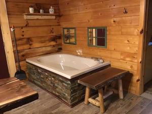 Dollywood! Dancing Bear 3-Bear Tracks-Newly Renovated