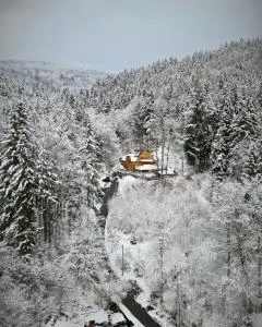 Pensjonat Alpejski Dwór - 德武戈波莱兹德鲁伊