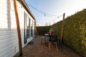 40, Theme Forest world - Dogs allowed!