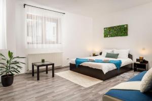 Studio - Old City Brasov