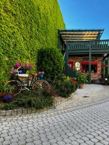 Shoemaker Irish Pub & Accommodation
