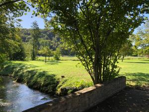 Moulin à Eau - Domaine de 3 Hectares - Borne électrique - Chiens acceptés