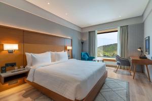 Radisson Hotel Nathdwara