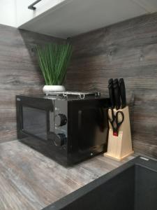 Apartments MiS-for you in city center