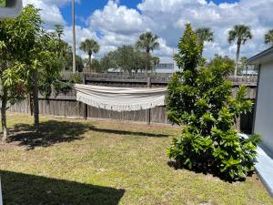 Cozy 3 bedroom home close to everything in Tampa!