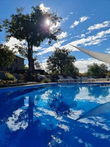 Oskar Sunny House - Adults Only