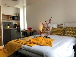 Appartements LES APPART'S DES DEMOISELLES DE ROCHEFORT : photos des chambres