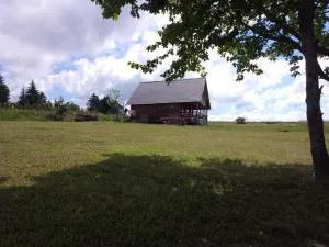 Vila Zboriste - Smreka