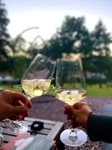 Tinyhaus & Souterrain Apartment in Ortenberg - Dauernheim