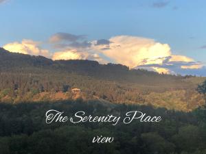 The Serenity Place
