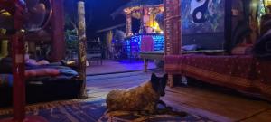 Pai River Jam Hostel & Campground