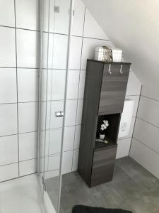 1 Zi Apartment im Stadtzentrum