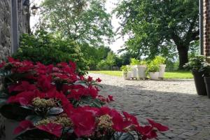 Country house Clos des hortensias