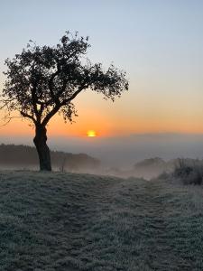 Ferienwohnung Taunusurlaub