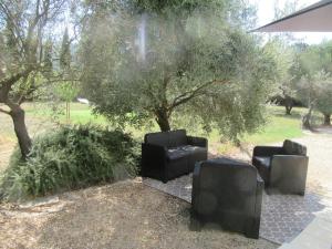 Appartements Lumineux deux pieces en rez de jardin : photos des chambres