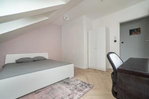 Big 4-bedroom flat, terrace with great Vítkov view