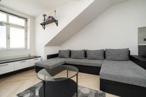 Big 4-bedroom flat, terrace with great Vítkov view