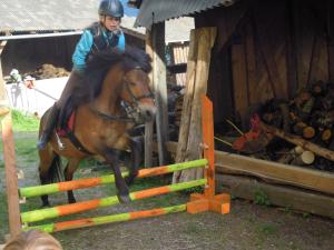 Ferienwohnung Freihof - Nassfeld