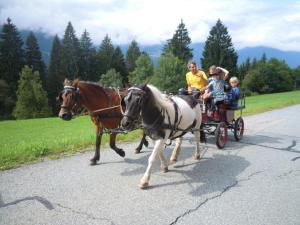 Ferienwohnung Freihof - Nassfeld