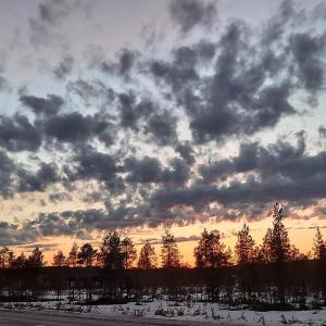 Room in Polar Circle