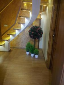 Apartamety u Chowańców
