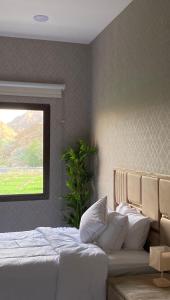 Alhara Lodge استراحة الحارة