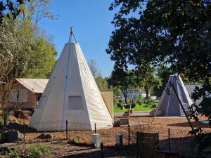 Campings Tipi Les P'tites Maisons dans la Prairie : photos des chambres