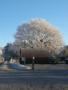Sunny Mount Glamping Pod