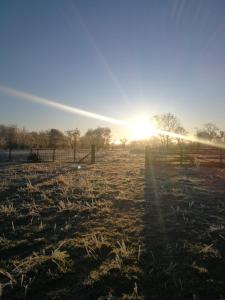 Sunny Mount Glamping Pod