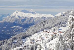 Appart'hotels Le Chalet de Bisanne : photos des chambres