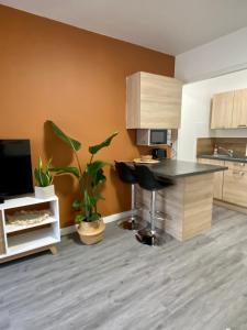 Studio Confort Centre Ville