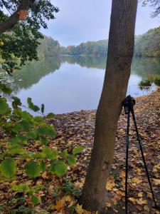 Lake HouseLubniewice