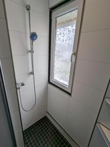 Ferienwohnung Elbaue